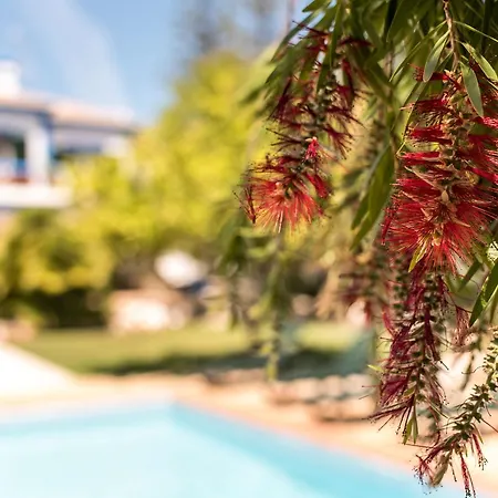 Paradisus * Lagos