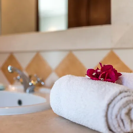 Bed & Breakfast Paradisus *